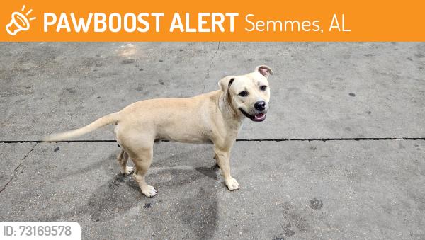 Found/Stray Male Dog last seen Exxon by Greers, Semmes, AL 36587