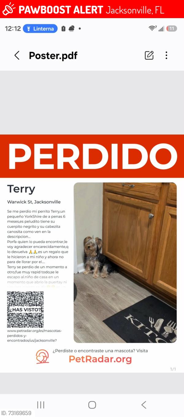 Lost Male Dog last seen Warwick St,La Mi,Carmichael, Jacksonville, FL 32207