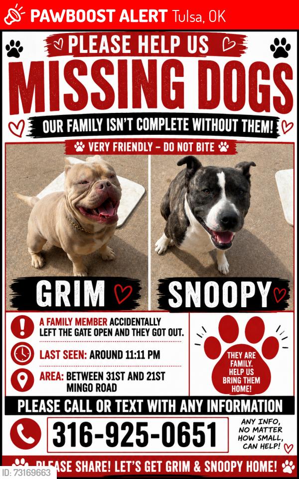 Lost Male Dog last seen 31st -21st nd mingo, Tulsa, OK 74129