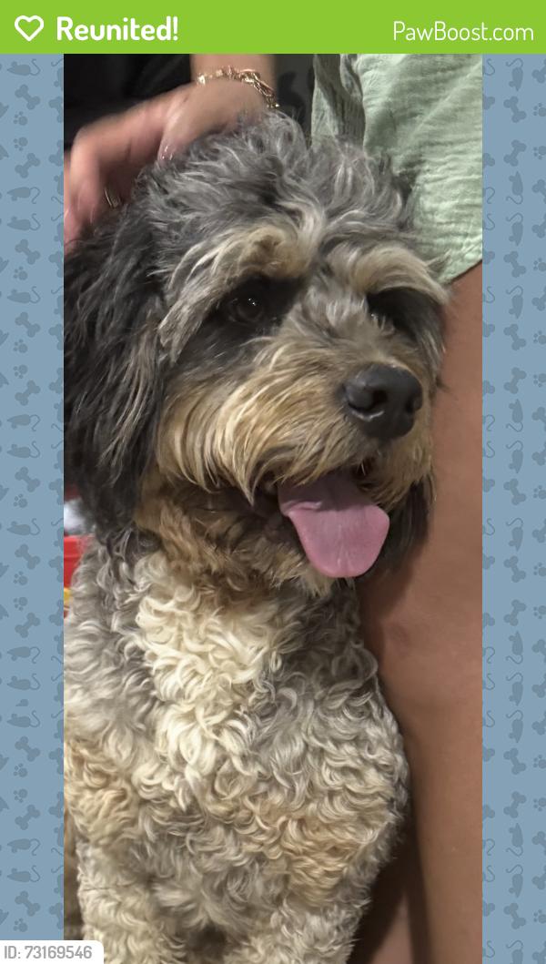 Reunited Male Dog last seen Rain dance, Windsor, CO 80550