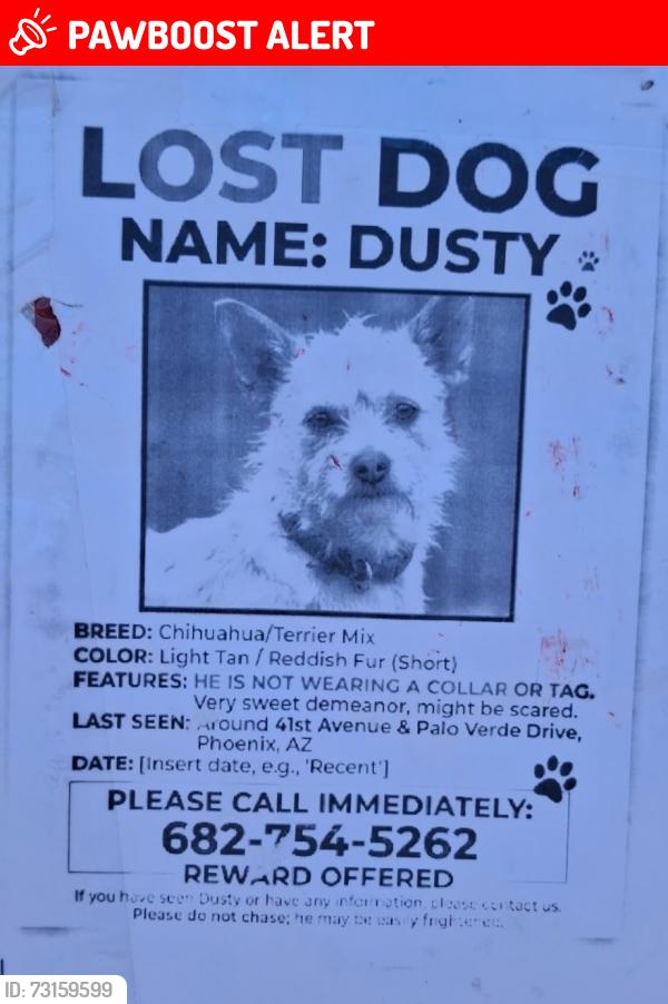 Lost Male Dog last seen 40avenue and bethany home lphx, Maricopa County, AZ 85019
