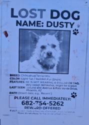 Lost Male Dog last seen 40avenue and bethany home lphx, Maricopa County, AZ 85019