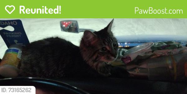 Reunited Male Cat last seen Near Cleveland Blvd, Caldwell, ID 83605, USA, Caldwell, ID 83605