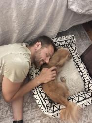 Reunited Male Dog last seen Near 200 N and 500 W, Greenfield, IN 46140
