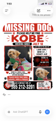 Lost Male Dog last seen Birr St., Rochester, NY 14617