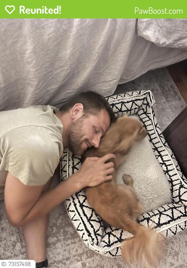 Reunited Male Dog last seen Near 200 N and 500 W, Greenfield, IN 46140