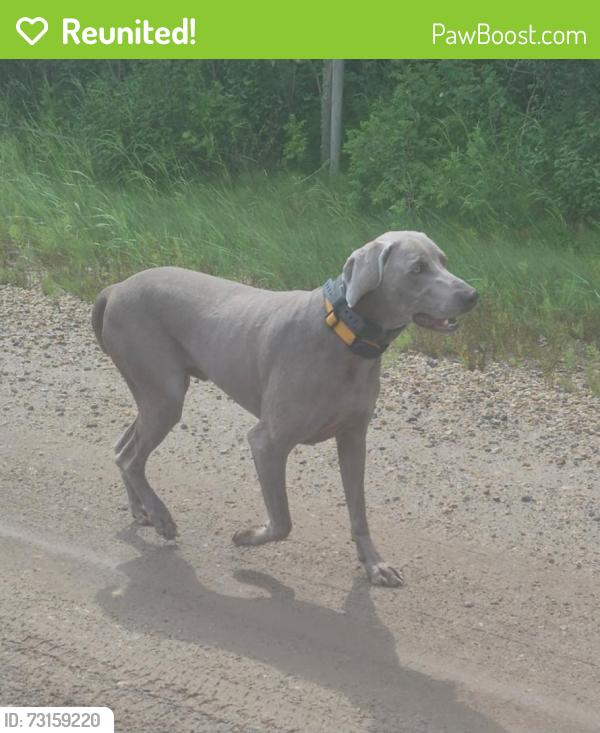 Reunited Unknown Dog last seen Devils lake area, Lac Ste. Anne County, AB 