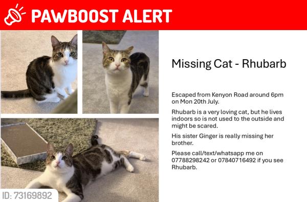 Lost Male Cat last seen Stubbington Avenue/Kirby Road/Chelmsford Road, Portsmouth, England PO2 0JZ
