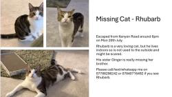 Lost Male Cat last seen Stubbington Avenue/Kirby Road/Chelmsford Road, Portsmouth, England PO2 0JZ