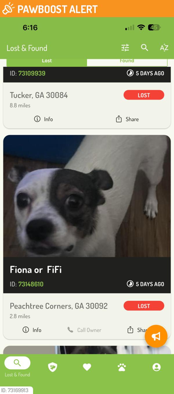 Found/Stray Female Dog last seen Peachtree corner Circle, Peachtree Corners, GA 30092