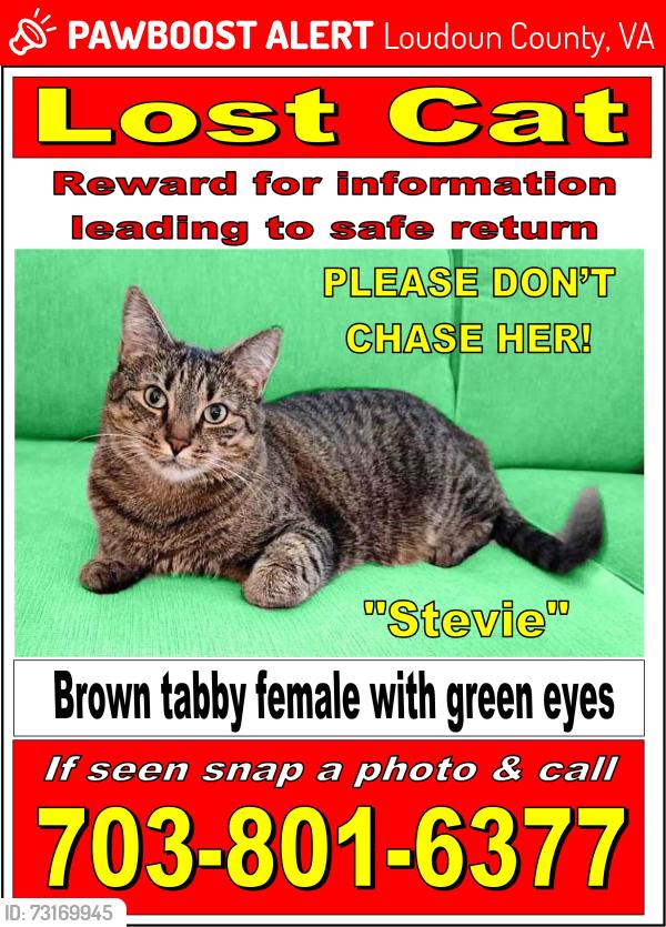 Lost Female Cat last seen Piebald SQ and Braided Mane Virginia Manor, Loudoun County, VA 20105
