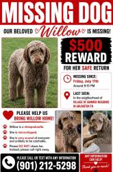 Lost Female Dog last seen Underwood and Brayton, Arlington, TN 38002