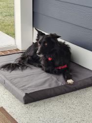 Lost Male Dog last seen New Ashcake & 301, Mechanicsville, VA 23116