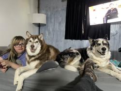 Lost Male Dog last seen Canoe creek state park, Blair County, PA 16693