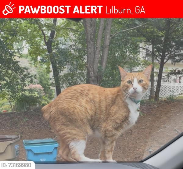 Lost Male Cat last seen Deerbrook, Lilburn, GA 30047