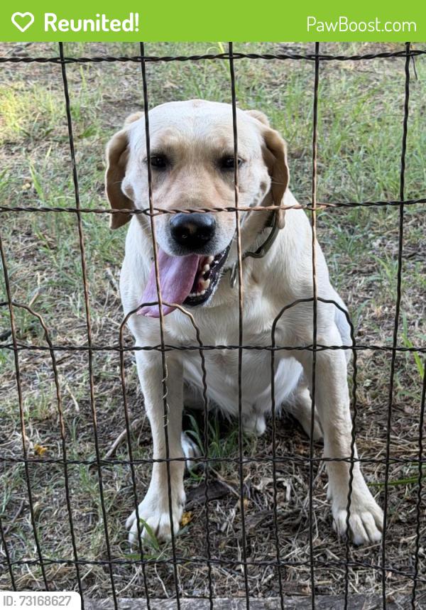 Reunited Male Dog last seen E 55th At S and Broadway, Wichita, KS 67217