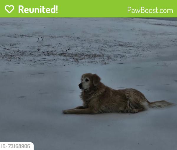 Reunited Male Dog last seen By Dorey Park, Richmond, VA 23231