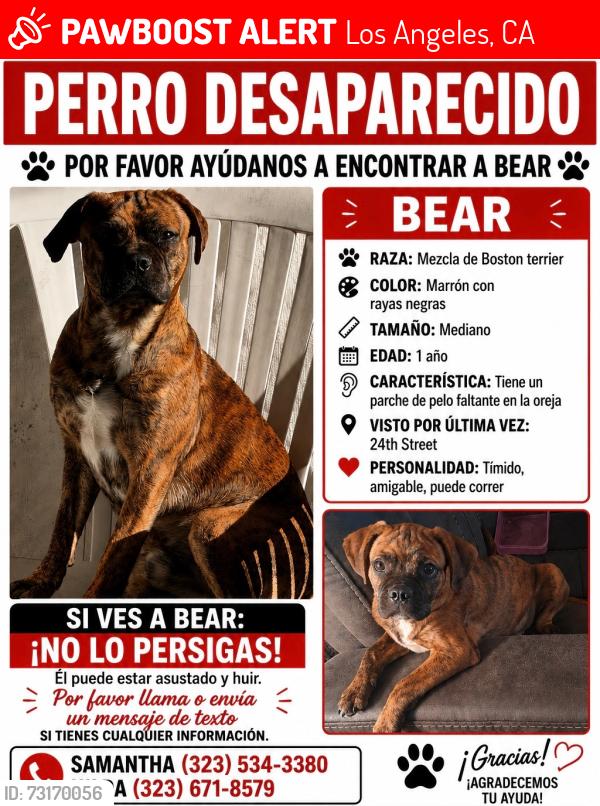 Lost Male Dog last seen 24th and san pedro, Los Angeles, CA 90011