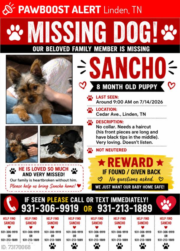 Lost Male Dog last seen Elementary school, Linden, TN 37096
