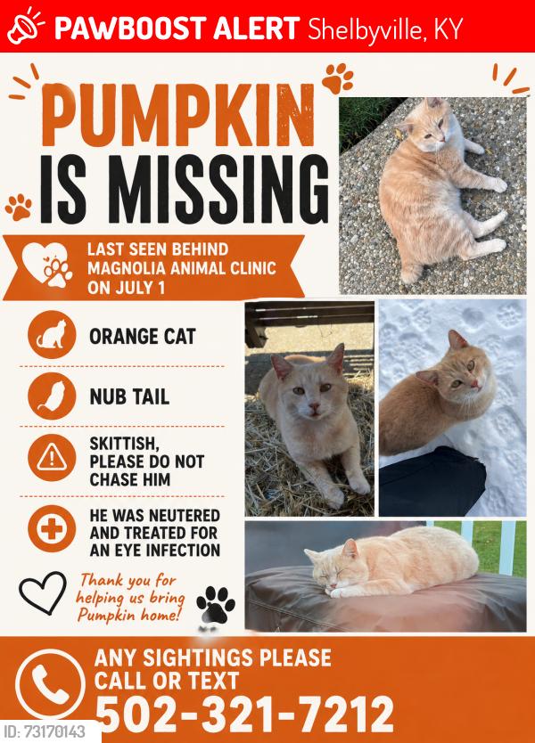 Lost Male Cat last seen Magnolia Animal hosp, Shelbyville, KY 40065