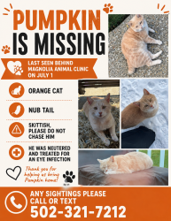 Lost Male Cat last seen Magnolia Animal hosp, Shelbyville, KY 40065