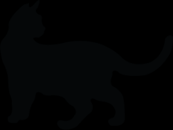 Shelter Stray Female Cat last seen Near Schoolhouse Street, MERRITT ISLAND, FL, 32953, 5100 W Eau Gallie Blvd, Melbourne, FL 32934, USA
