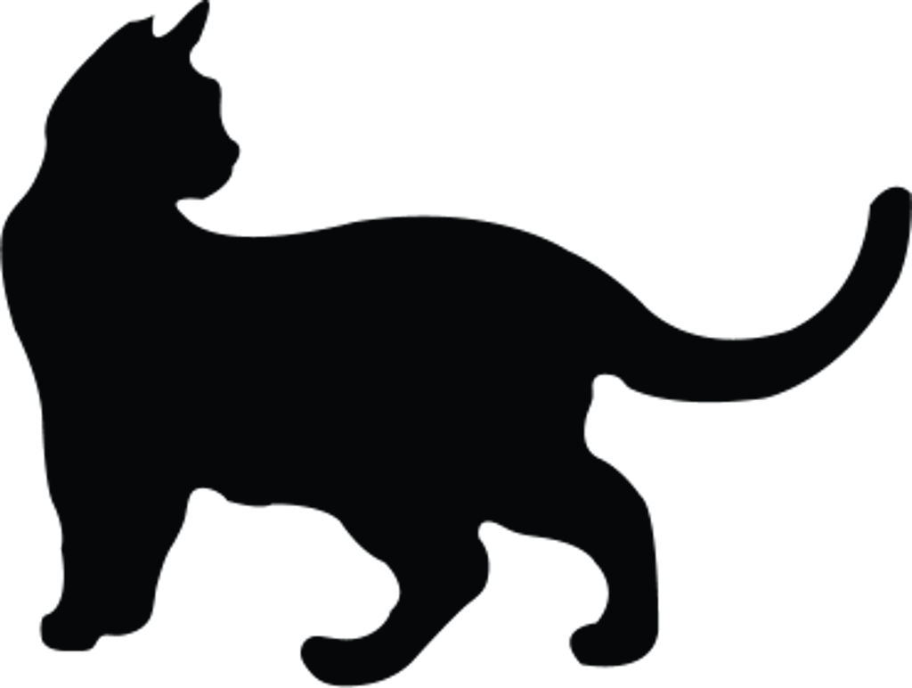 Shelter Stray Female Cat last seen Near Schoolhouse Street, MERRITT ISLAND, FL, 32953, 5100 W Eau Gallie Blvd, Melbourne, FL 32934, USA