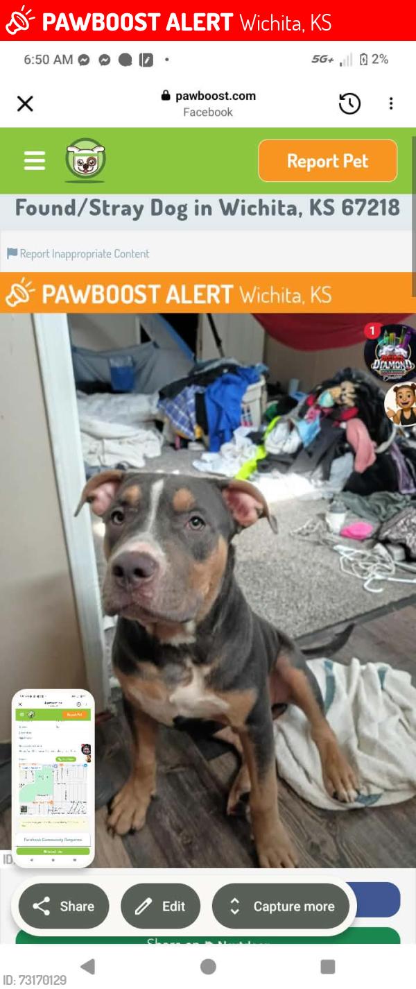 Lost Male Dog last seen Near the Aok pawn shop he was missing from hilltop apt, Wichita, KS 67218