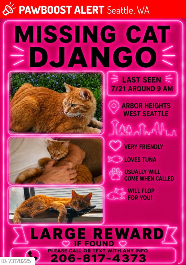 Lost Male Cat last seen California ave SW and SW 100th street, Seattle, WA 98146