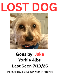Lost Female Dog last seen Saint pauls ct, Stockbridge, GA 30281