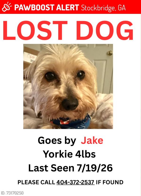 Lost Female Dog last seen Saint pauls ct, Stockbridge, GA 30281