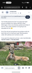 Lost Male Dog last seen Near wilsonmills road Marti park, New Castle, PA 16105