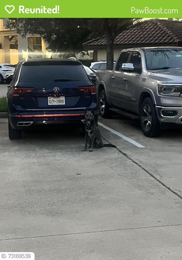 Reunited Male Dog last seen SYNC at Purgatory Creek, San Marcos, TX 78666