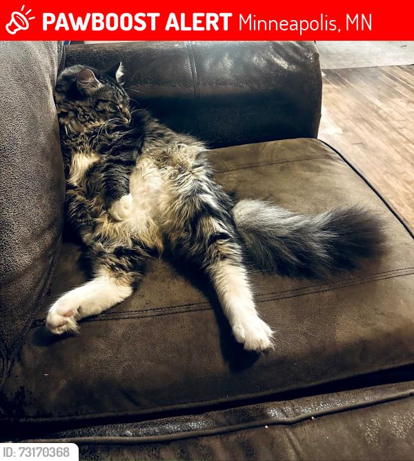 Lost Male Cat last seen Girard Avenue, Minneapolis, MN 55411