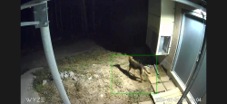 Found/Stray Unknown Dog last seen End of Sandia Crest road at top of mountain, Sandia Park, NM 87047