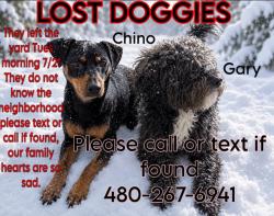 Lost Male Dog last seen Near Ave Bethany hm road, Phoenix, AZ 85019