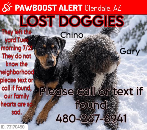 Lost Male Dog last seen Near Ave Bethany hm road, Phoenix, AZ 85019
