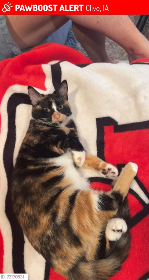 Lost Female Cat last seen She was in our garage and then now missing, Clive, IA 50325
