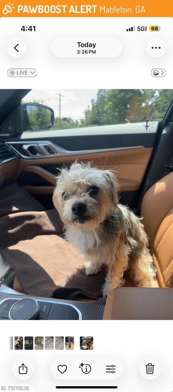 Found/Stray Male Dog last seen apmts on vet memorial nearest cave springs road, Mableton, GA 30126