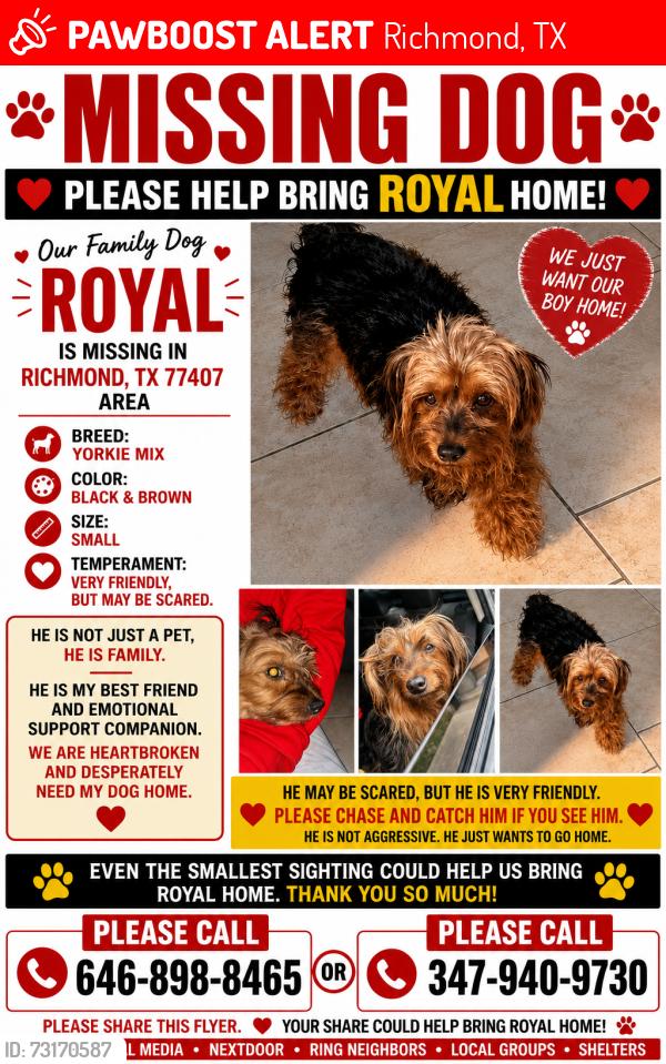 Lost Male Dog last seen Rose summit lane, Richmond, TX 77407