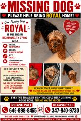 Lost Male Dog last seen Rose summit lane, Richmond, TX 77407