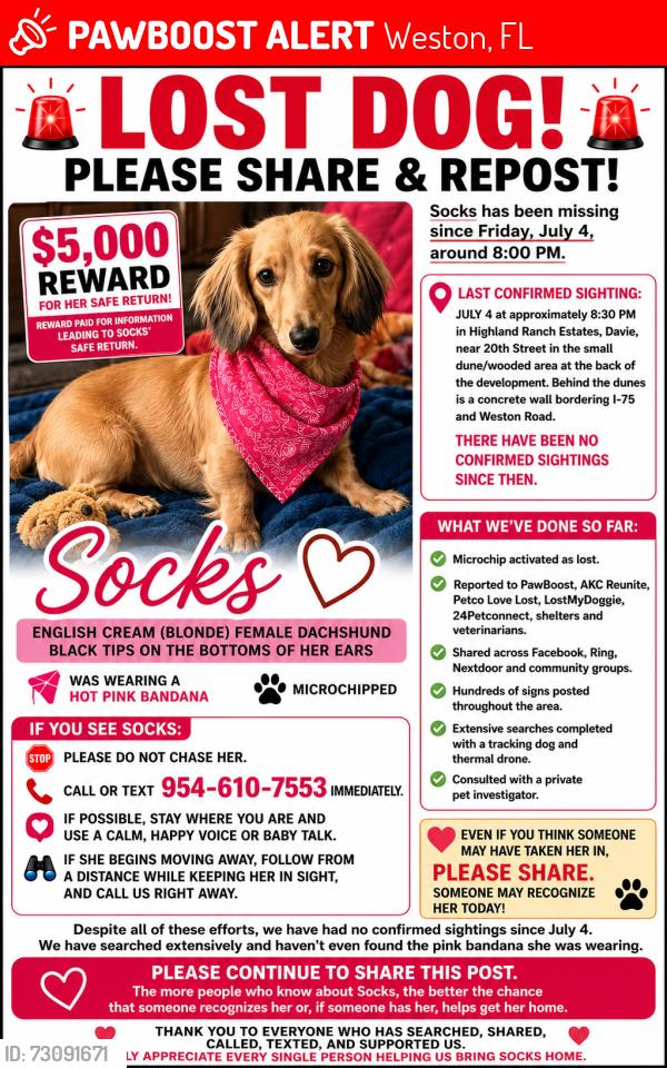 Lost Female Dog last seen Highland Ranches community, Weston, FL 33326