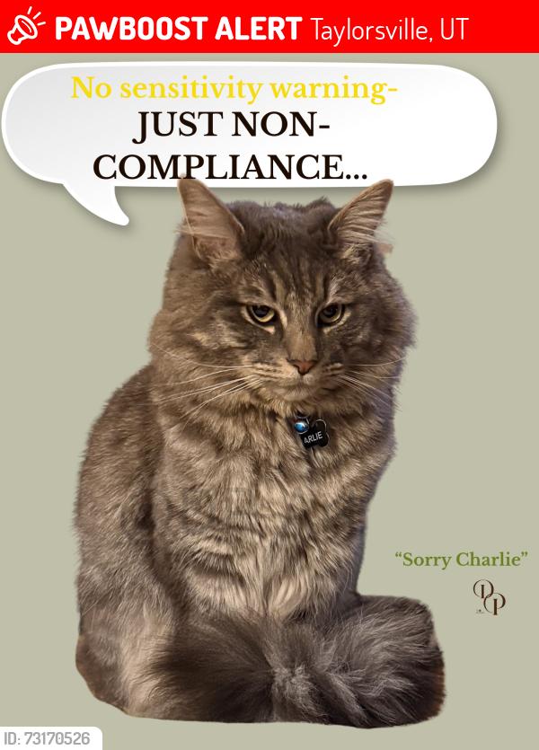 Lost Male Cat last seen 47Seventy Settlers Point apmts 3:33am, Taylorsville, UT 84123