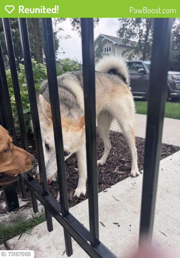 Reunited Unknown Dog last seen Near 78 Ave NW, Edmonton, AB T6C 0P1