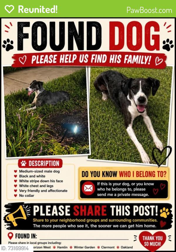 Reunited Male Dog last seen Rock Coast Dr, Horizon West, FL 34787