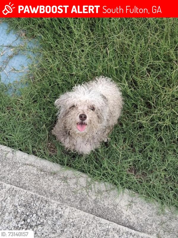 Lost Female Dog last seen Grey Fox Way, Crossrail Drive, South Fulton, GA 30296