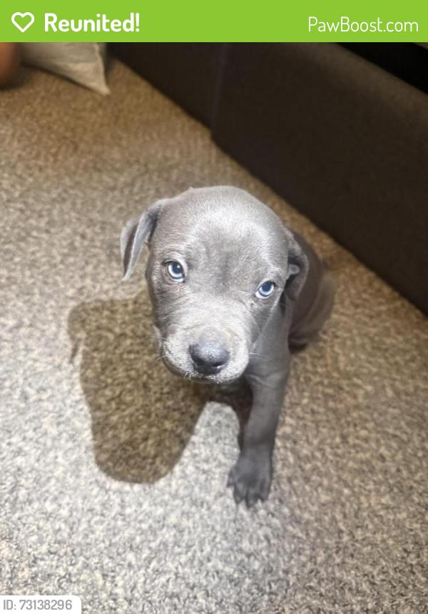 Reunited Female Dog last seen Lincoln & Webb Area, Wichita, KS 67207