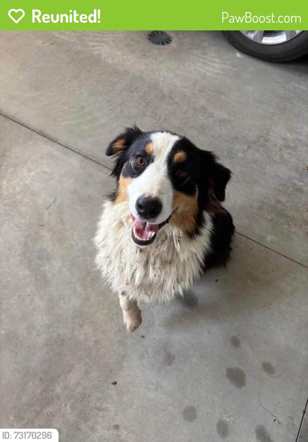 Reunited Female Dog last seen S Forty Lane, Adel, Adel, IA 50003