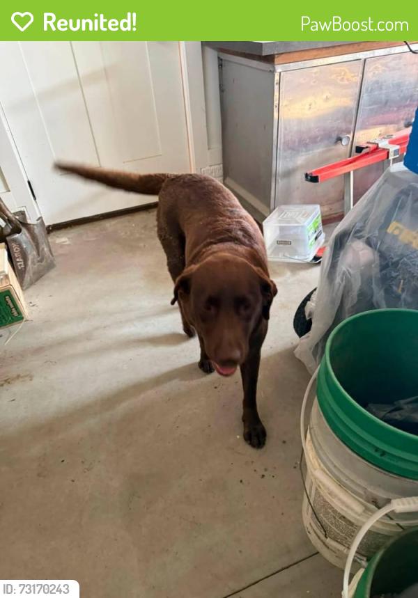 Reunited Female Dog last seen S Forty Ln, Adel, Adel, IA 50003