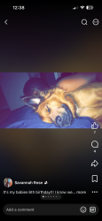 Lost Male Dog last seen Stadium drive and stadium area, Thomasville, NC 27360